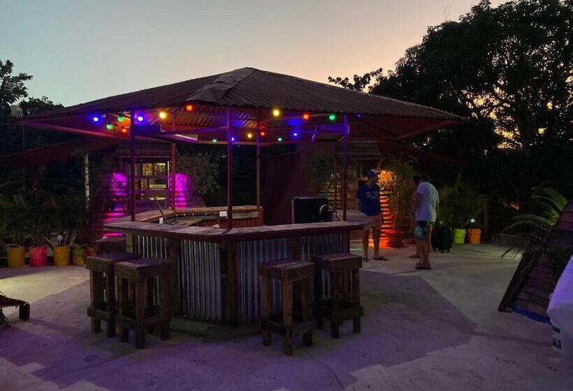 آپارتمان 1 خوابه با چشم‌انداز, Tinyhouse Samaná