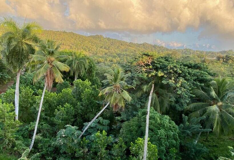 آپارتمان 1 خوابه با چشمانداز, Tinyhouse Samaná