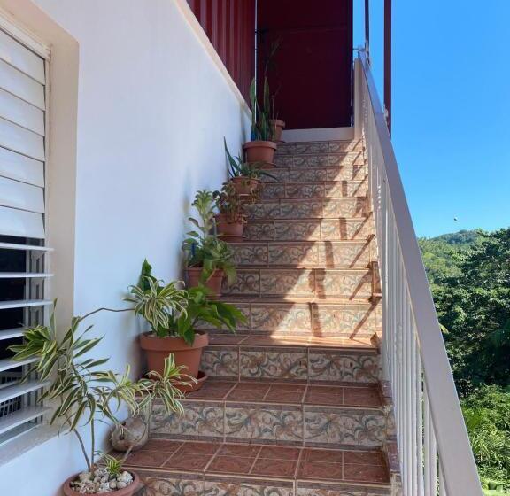 اتاق لوکس, Tinyhouse Samaná