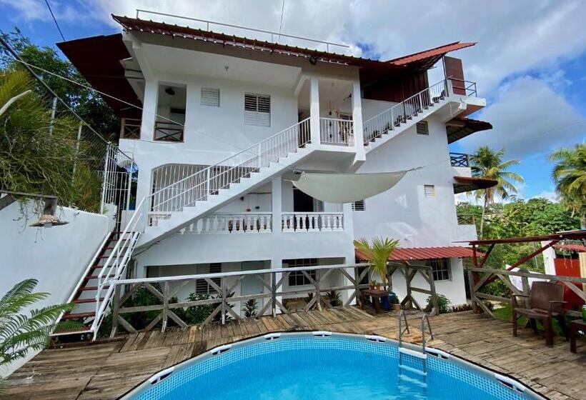 اتاق لوکس, Tinyhouse Samaná