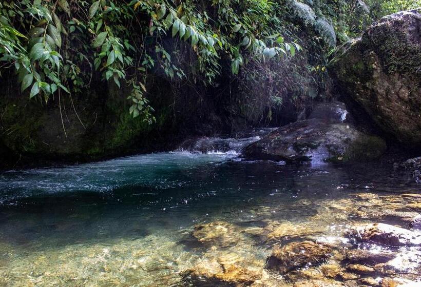 Люкс с Балконом, El Edén Hotel Campestre