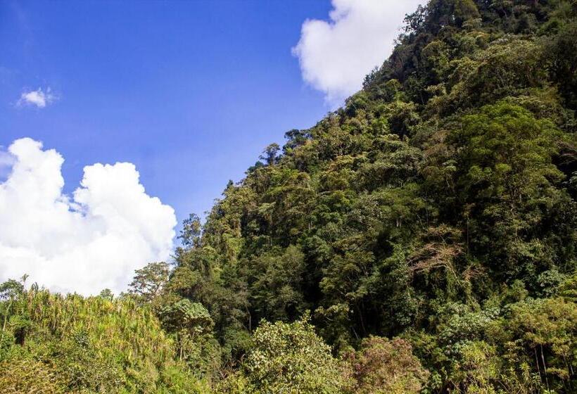 Номер Стандарт, El Edén Hotel Campestre