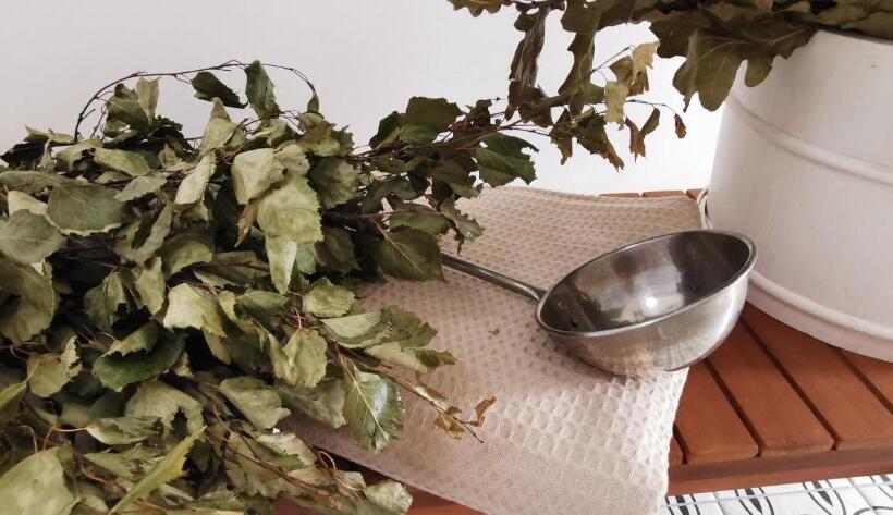 اتاق خانوادگی, Pamiškė Boutique Spa