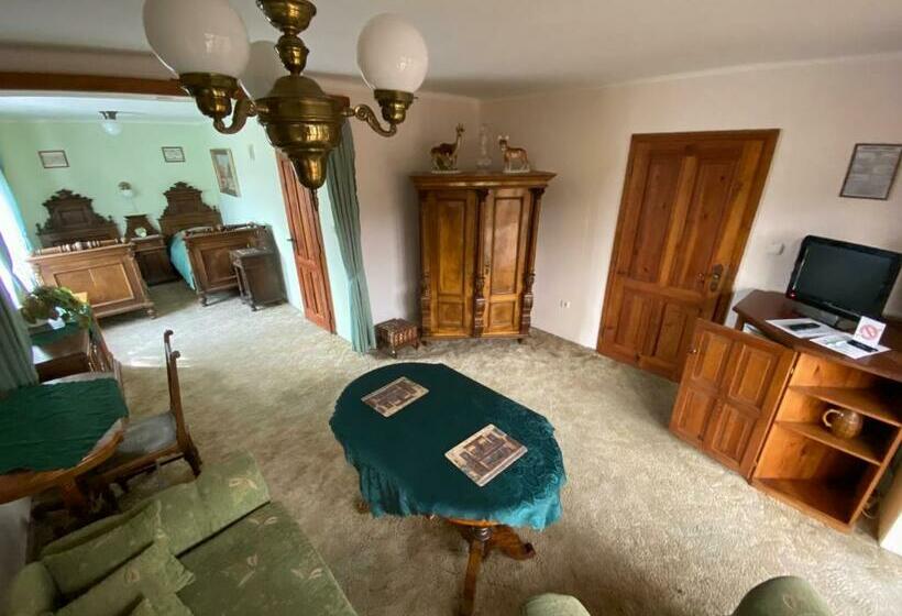 חדר סטנדרט, Penzion U Nouzů