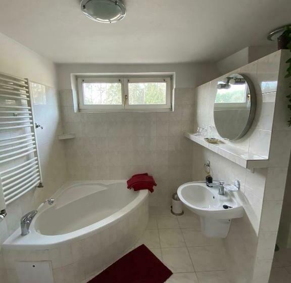 חדר סטנדרט, Penzion U Nouzů