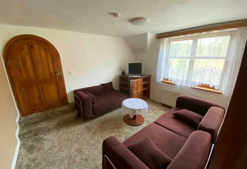 חדר סטנדרט, Penzion U Nouzů