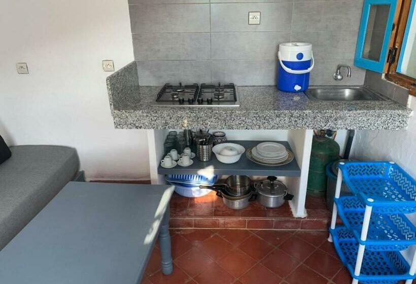 غرفة قياسية مزوَّدة بتراس, Terrasses Abel