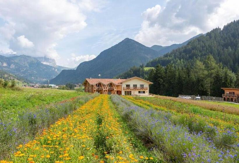 Стандартный Номер Кровать Кинг, Eco Green Fiores Agriturismo