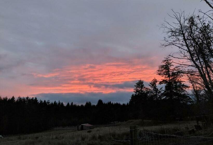 غرفة أساسية, Healing Ponds Farm