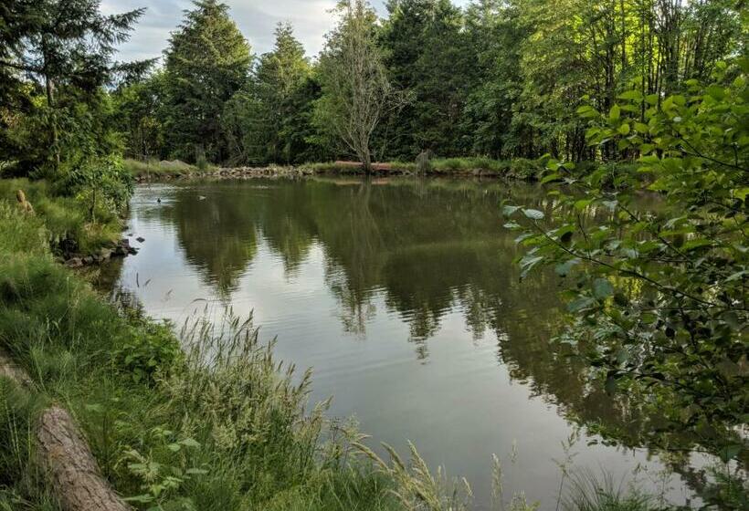 غرفة أساسية, Healing Ponds Farm