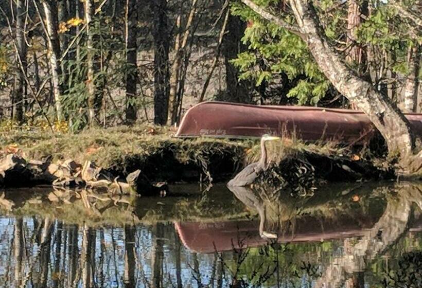 غرفة أساسية, Healing Ponds Farm