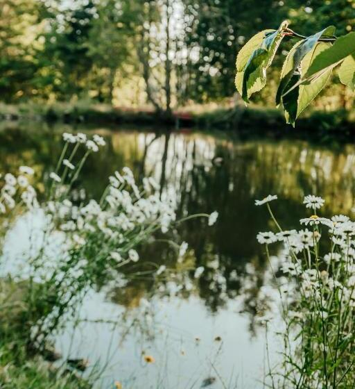 غرفة أساسية, Healing Ponds Farm