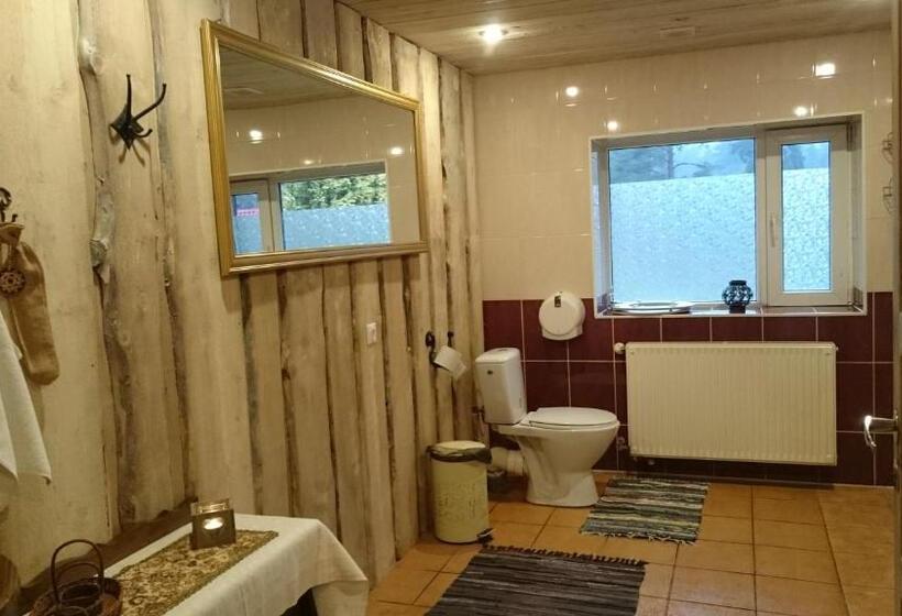 اتاق استاندارد با سرویس بهداشتی مشترک, Viesu Nams Vecmuiža