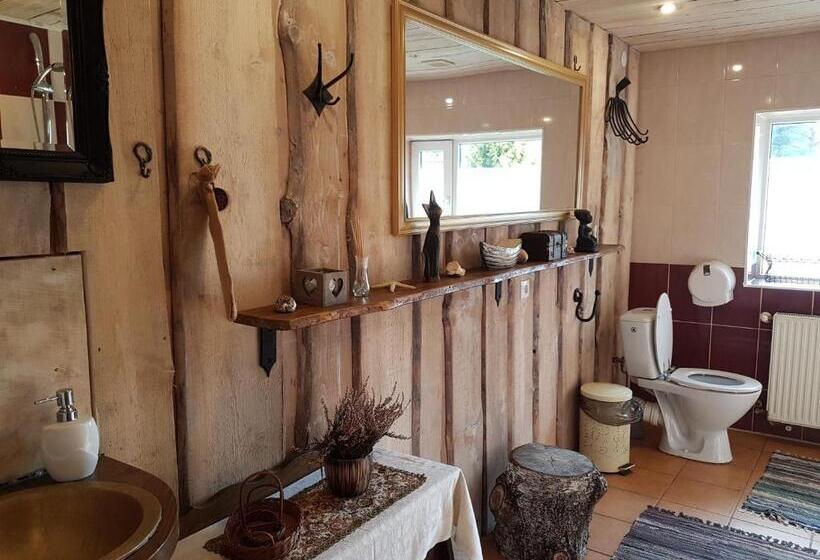 اتاق استاندارد سه تخته با سرویس بهداشتی مشترک, Viesu Nams Vecmuiža