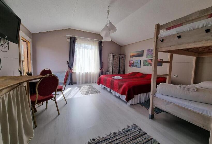 بنگله خانوادگی, Viesu Nams Vecmuiža