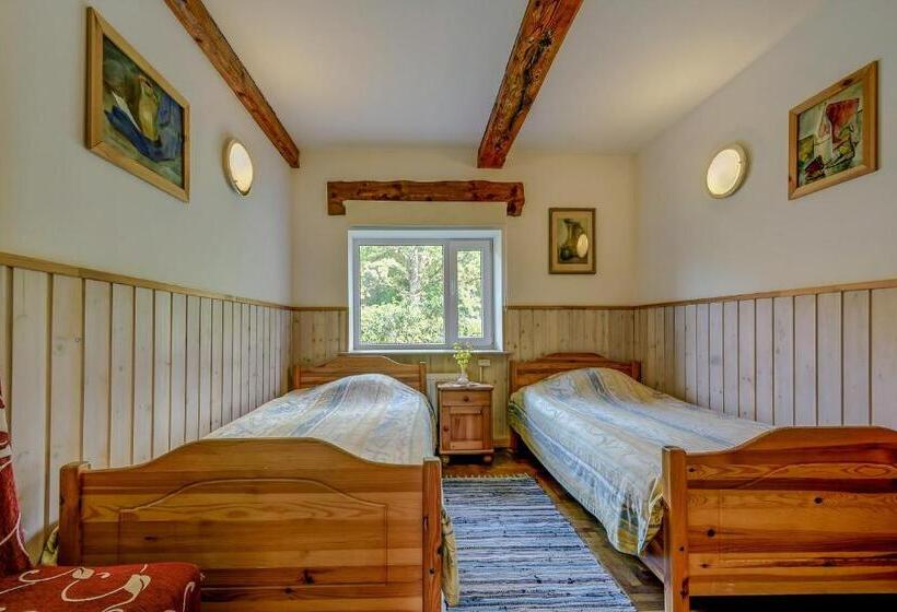 اتاق استاندارد با سرویس بهداشتی مشترک, Viesu Nams Vecmuiža