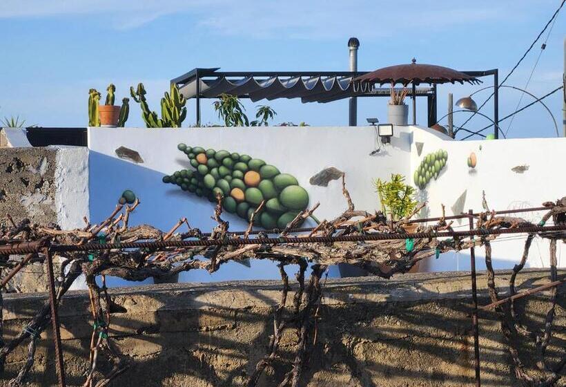 جناح جونيور مزوَّد بتراس, Casa Salvia Bed & Breakfast   Icod   Tenerife