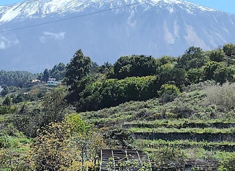 غرفة ديلوكس سرير كينج, Casa Salvia Bed & Breakfast   Icod   Tenerife