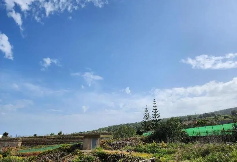 デラックスルーム, Casa Salvia Bed & Breakfast   Icod   Tenerife