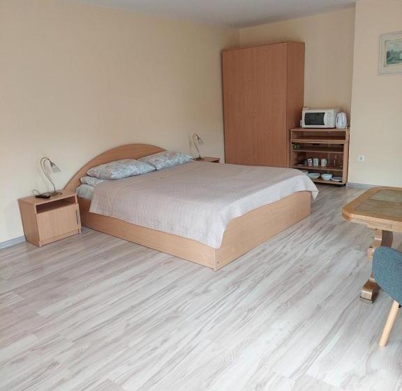 اتاق استاندارد با بالکن, Pas Birutę