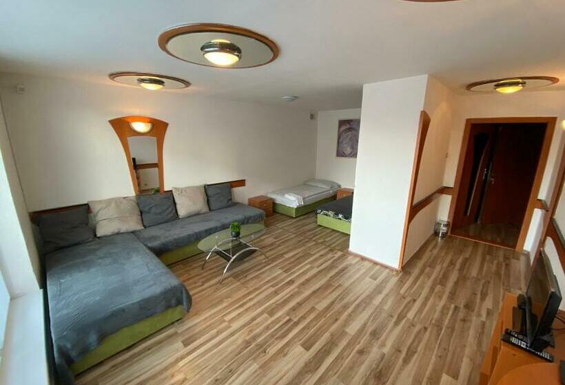 テラス付き１ベッドルームアパートメント, Penzión Dukát