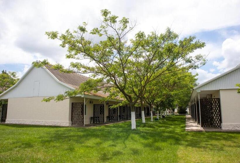 이코노미 룸, база відпочинку сонячна