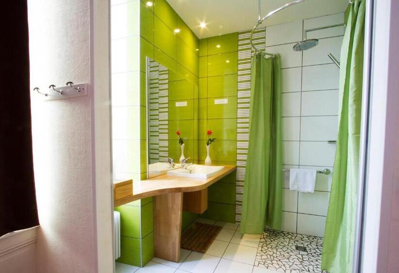 Номер Superior, Brit Hotel Roanne   Le Grand Hôtel