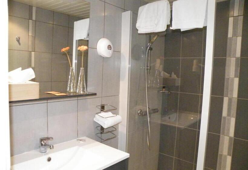 クラシックルーム, Brit Hotel Roanne   Le Grand Hôtel