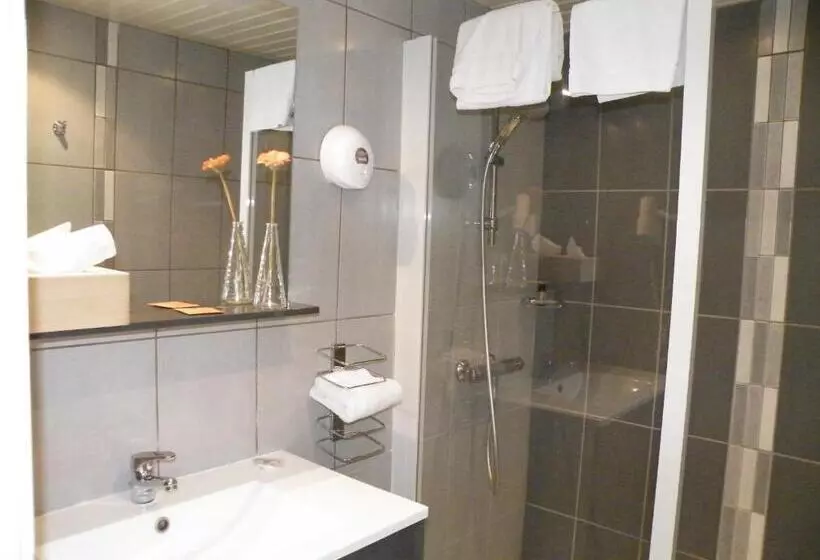 اتاق کلاسیک, Brit Hotel Roanne   Le Grand Hôtel