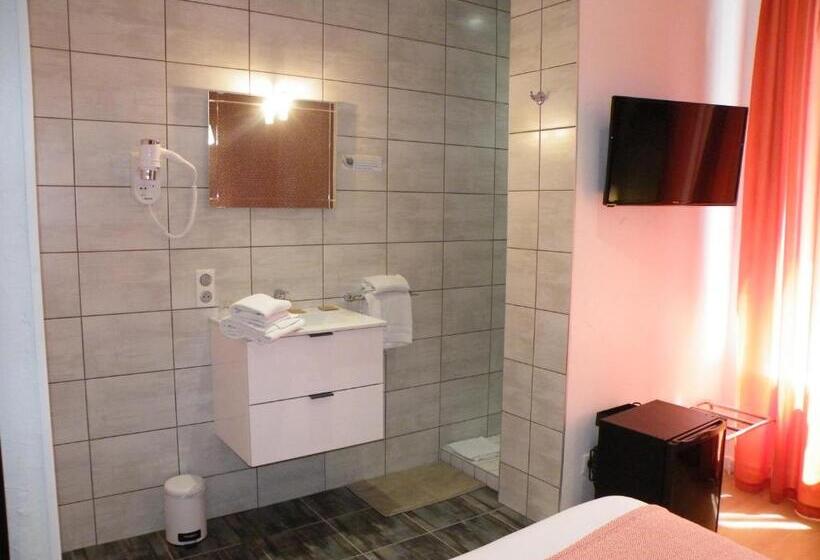 Классический Номер, Brit Hotel Roanne   Le Grand Hôtel