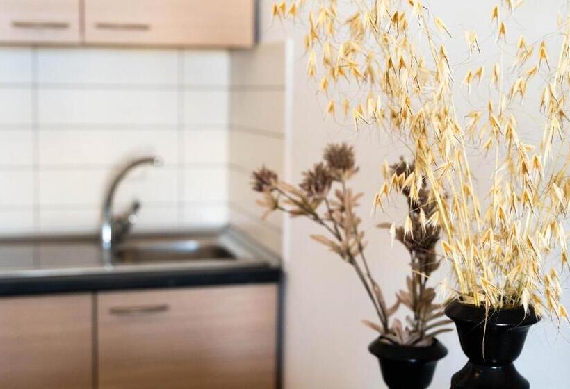 إستوديو قياسى مطل على البحر, 3aktes Suites & Studios