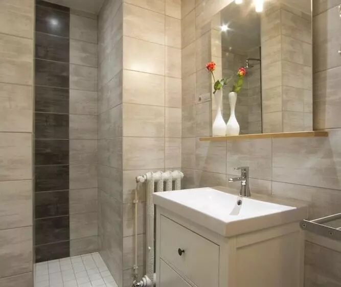 اتاق کلاسیک, Brit Hotel Roanne   Le Grand Hôtel