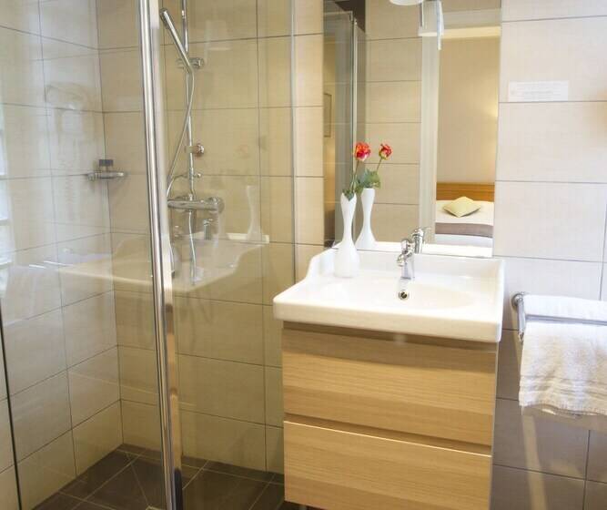 スーペリアールーム, Brit Hotel Roanne   Le Grand Hôtel