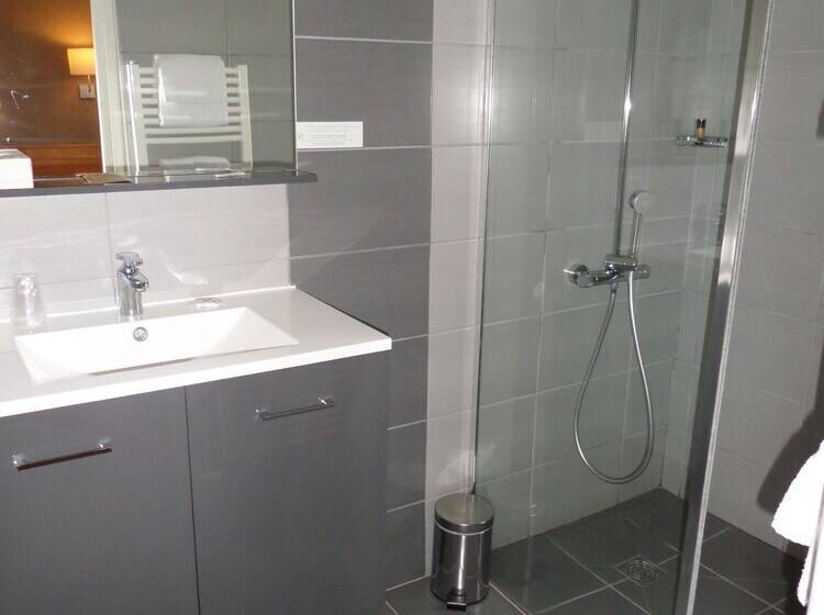 Номер Superior, Brit Hotel Roanne   Le Grand Hôtel