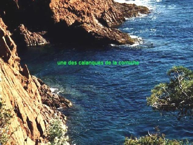 수피리어 룸, Le Patio