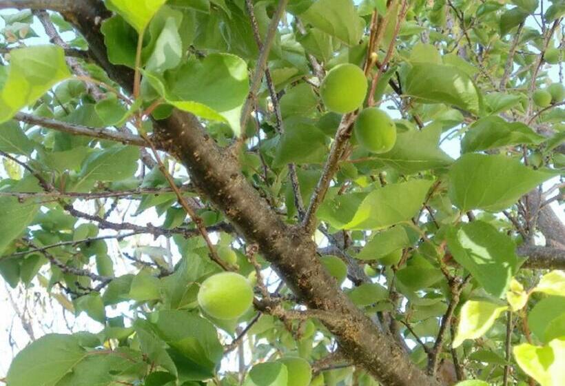 Standard-huone, Neos Matala