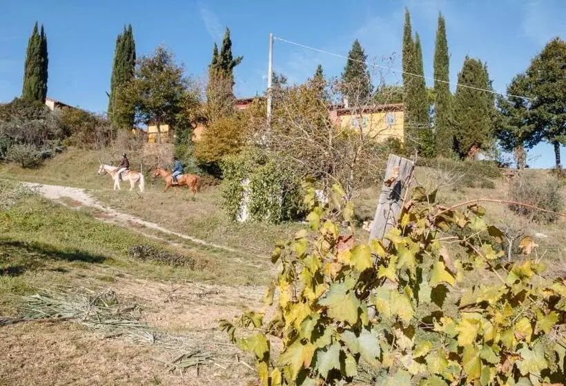 スタンダードルーム, Podere Dell'anselmo