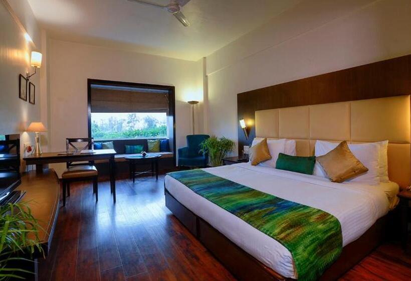 高级大房间, Treehouse Hotel Club & Spa