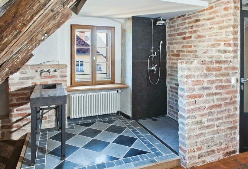 غرفة قياسية فردية, David An Der Donau