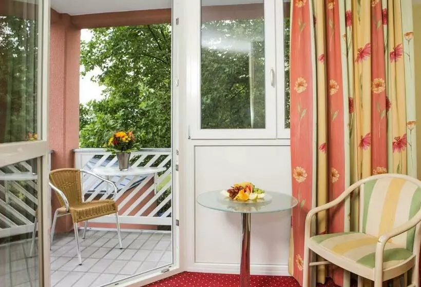اتاق لوکس یک تخته, Johannesbad Hotel Phönix