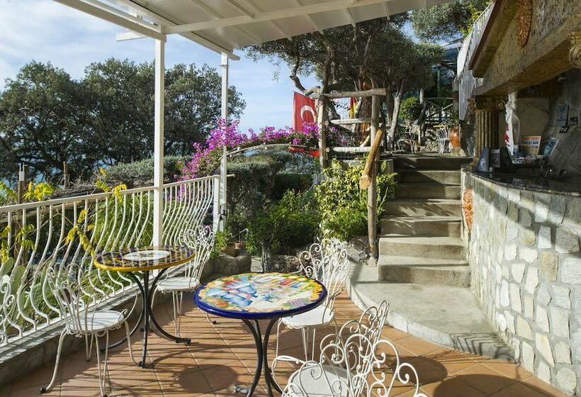 标准间, La Maliosa D  Arienzo