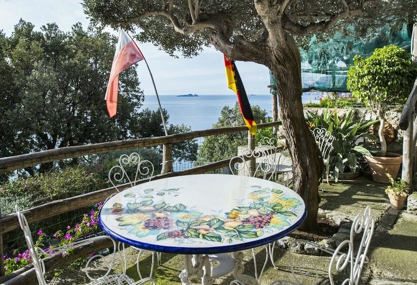 Quarto Estandar, La Maliosa D  Arienzo