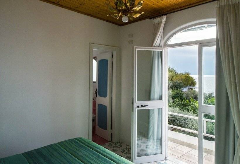 标准间, La Maliosa D  Arienzo