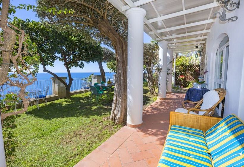 四人标准间, La Maliosa D  Arienzo