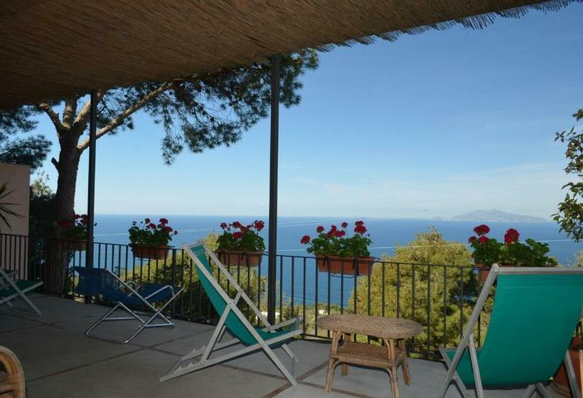 غرفة قياسية مطلّة علي البحر مزوَّدة بتراس, Le Ginestre Di Capri Bb & Holiday House