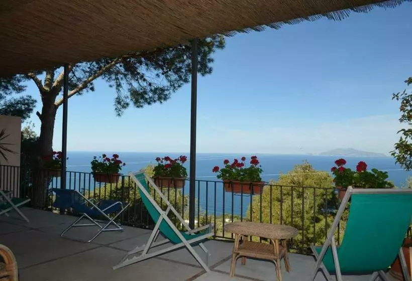 اتاق استاندارد با تراس و چشم‌انداز دریا, Le Ginestre Di Capri Bb & Holiday House