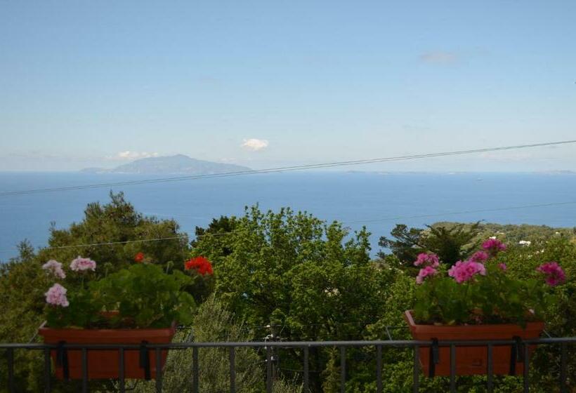 Номер Стандарт Вид на Море с Террасой, Le Ginestre Di Capri Bb & Holiday House