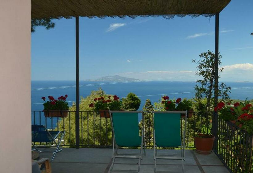חדר סטנדרט נוף לים עם טרסה, Le Ginestre Di Capri Bb & Holiday House
