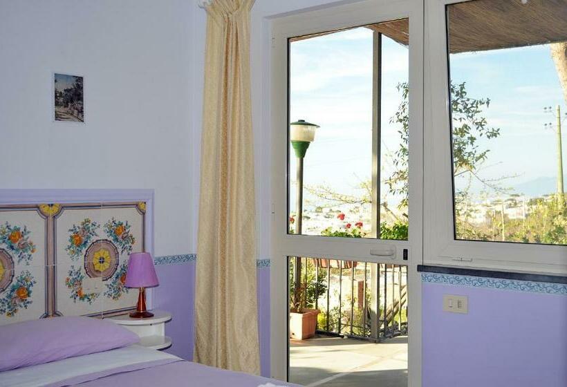 غرفة قياسية مطلّة علي البحر مزوَّدة بتراس, Le Ginestre Di Capri Bb & Holiday House