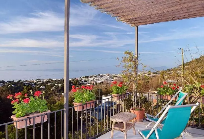 اتاق استاندارد با تراس و چشم‌انداز دریا, Le Ginestre Di Capri Bb & Holiday House